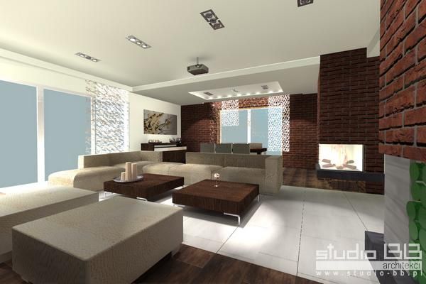 house-for-lifepindividual-interior-climate-house-approx-230-sqmp