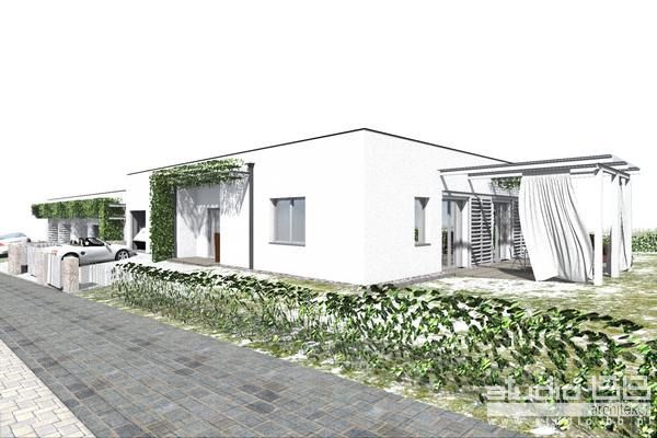 dom-w-bluszczupgliwice-140m2-parterowy-wspczesny-minimalistyczny-z-drobnym-zielonym-akcentem-pncego-bluszczup