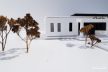 dom-z-house-z